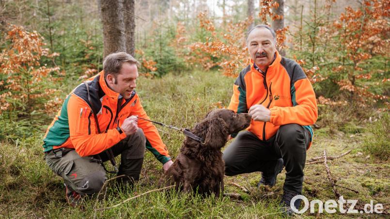 Winfried Pfahler (rechts), Leiter des Forstbetriebs Fichtelberg, begrüßt Christoph Mende als neuen Förster im Revier Ahornberg sowie dessen Hund Friedel. Bild: Martin Hertel/exb