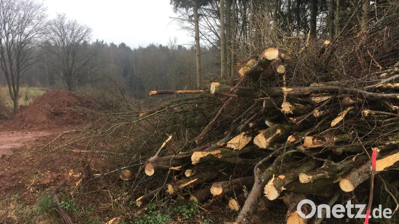 Bäume und Sträucher wurden umgesägt, einiges an Erdreich bewegt: Sie sieht aus auf dem Grundstück bei Schmidgaden aus, das für manche Gemeindebürger den Charakter eines Biotops hatte. Bild: upl