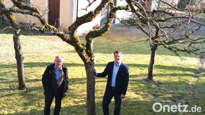 Bürgermeister Rudolf Teplitzky (rechts) und OGV-Vorsitzender Karl Ruhland blicken im Pfarrgarten Oberviechtach auf die alten Obstbäume. Mit einer Initiative wollen sie Streuobstwiesen erhalten und neue Anpflanzungen fördern. Bild: Portner