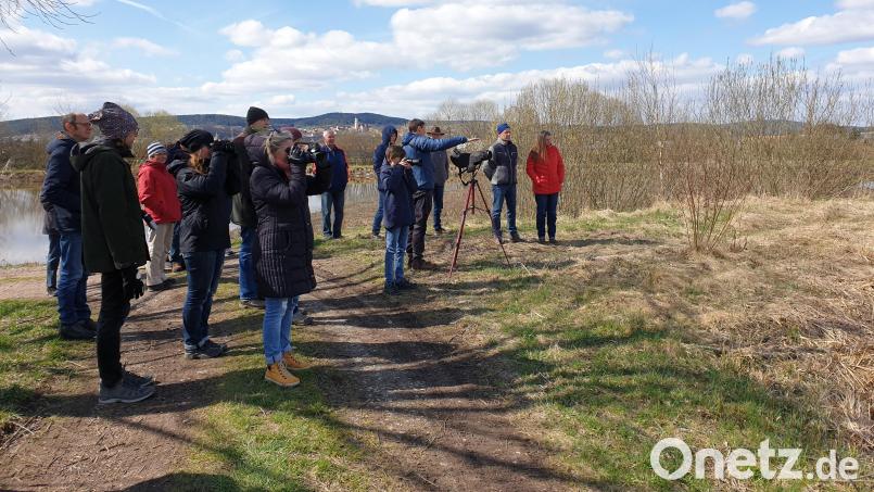 25 Vogelfreunde informierten sich über die Schutzmaßnahmen für den Kiebitz an den Langwiedteichen und freuten sich über einige besondere Beobachtungen. Außer den seltenen Kiebitzen waren zwei Seeadler am Himmel das Highlight der Exkursion. Bild: Susanne Götte/exb