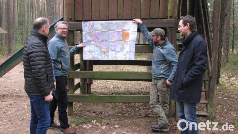 Philipp Bahnmüller (Zweiter von links) und Robert Werner (Dritter von links) erklären Stephan Oetzinger (rechts) und Bürgermeister Richard Kammerer die zunehmende Vernässung der Moore im Manteler Wald. Bild: knh