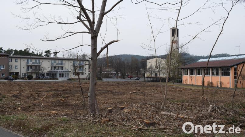Auf der gerodeten Fläche zwischen Seniorenheim und Schule wird die neue Mehrzwecksporthalle gebaut. Die Baumaschinen sollen im Mai anrücken. Bild: bnr