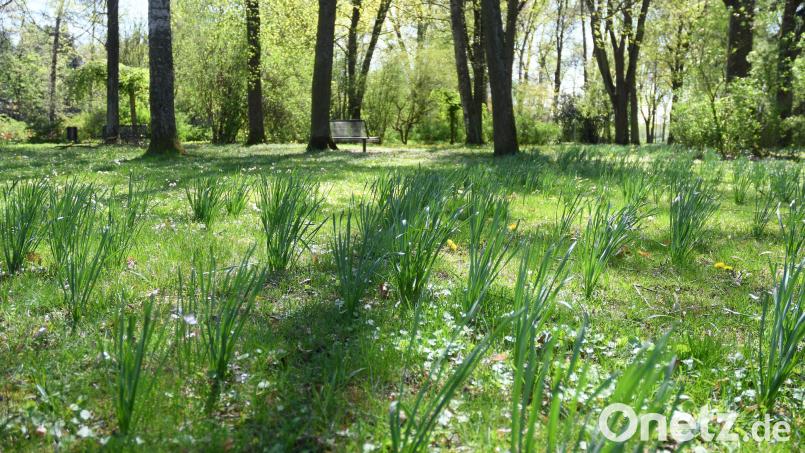 Bis der Frühling komplett einzieht dauert es wohl noch ein bisschen. Laut Wetterexperte Andy Neumaier bringt die neue Woche trotzdem schon ein paar warme Tage. Bild: Gabi Schönberger