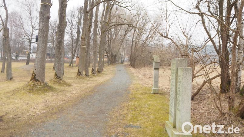 Am Moorbad beginnt der Kreuzweg mit 14 Stationen, für die sich vor fast 25 Jahren der Oberpfälzer Waldverein Schönsee engagiert hat. Bild: bl
