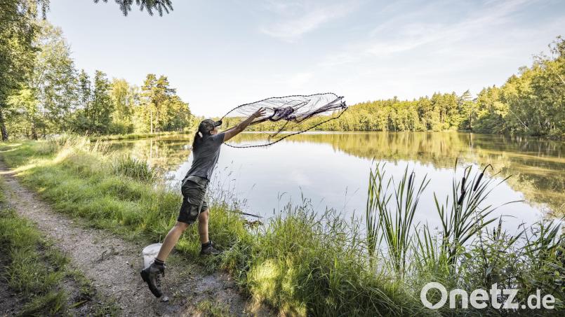 Lena Bächer bereitet sich in Muckenthal auf die Übernahme des Familienbetriebs vor. Das Bild zeigt sie beim Auswerfen eines Fischernetzes. Bild: Thomas Kujat/Oberpfälzer Wald/exb