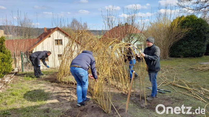 Eltern und Team helfen beim Bau des Weiden-Tipis zusammen Bild: bey