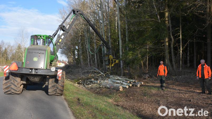 Nahe des Konnersreuther Ortseingangs entlang der Waldsassener Straße führte der Forstbetrieb Waldsassen Verkehrssicherungsmaßnahmen durch. Forstdirektor Norbert Zintl und Forstwirtschaftsmeister Louis Lang (von rechts) informierten über die Arbeiten. Bild: jr