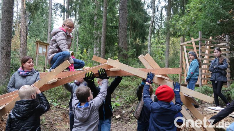 Im Bauausschuss Plößberg kam die Frage nach einer möglichen Waldkinderkrippengruppe. Beim „grünen Klassenzimmer“ im Wald beim Großen Weiher (Bild) könnte ein möglicher Standpunkt sein. Archivbild: Grundschule Plößberg