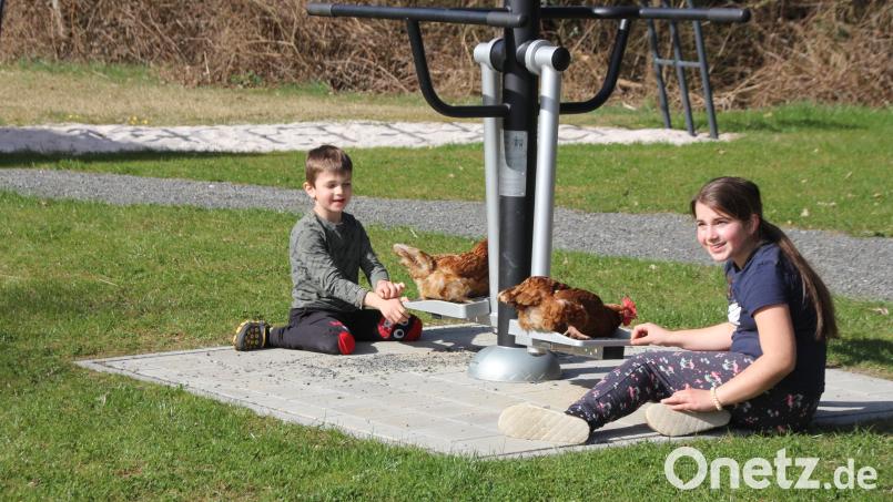 Die beiden Hühner fühlen sich auf diesem von Emily und Elias Pflug zur „Hühnerschaukel“ umfunktionierten Fitnessgerät sichtlich wohl. Bild: frd