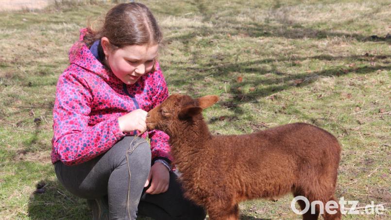 Zwei, die sich verstehen: Die elfjährige Ronja und der vier Wochen alte &quot;Erwin&quot;. Bild: kro