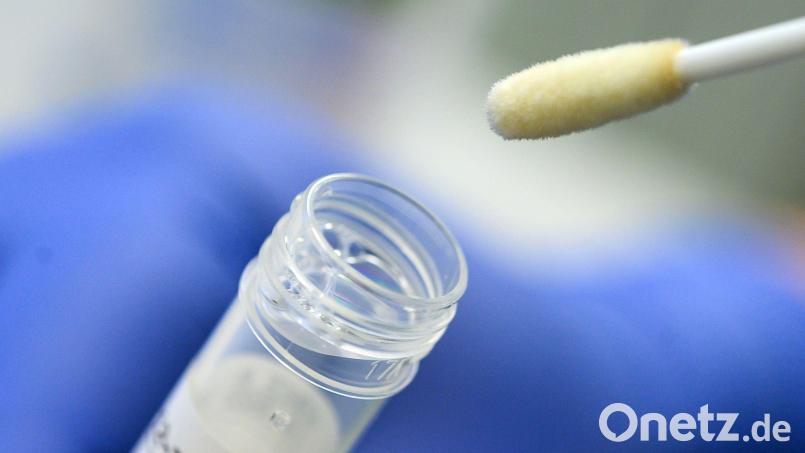 Im Landkreis Schwandorf wurden in den vergangenen sieben Tagen deutlich weniger Corona-Infektionen gemeldet als noch in der Woche zuvor. Symbolbild: Sebastian Gollnow/dpa/Symbolbild