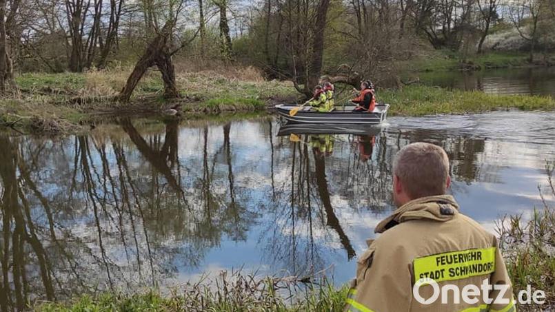 Einsatzkräfte der Feuerwehren Krondorf-Richt und Schwandorf bargen den toten Biber am Ostermontag von der Naab-Insel. Bild: Feuerwehr Schwandorf/exb