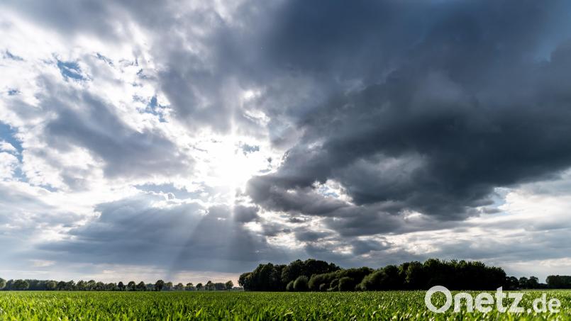 Für die Strahlen der Frühlingssonne ist dieser Tage in der Oberpfalz wenig Platz. Bis Mitte der nächsten Woche dominiert kühles, auch nasses Wetter. Symbolbild: Guido Kirchner/dpa