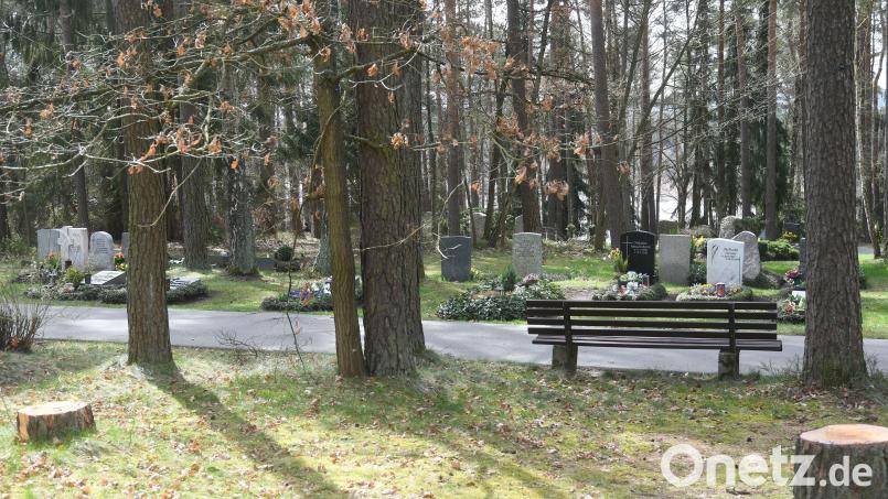 Ein Café auf dem Waldfriedhof in Weiden? Redakteurin Kathrin Moch jedenfalls kann sich das gut vorstellen. Bild: Gabi Schönberger