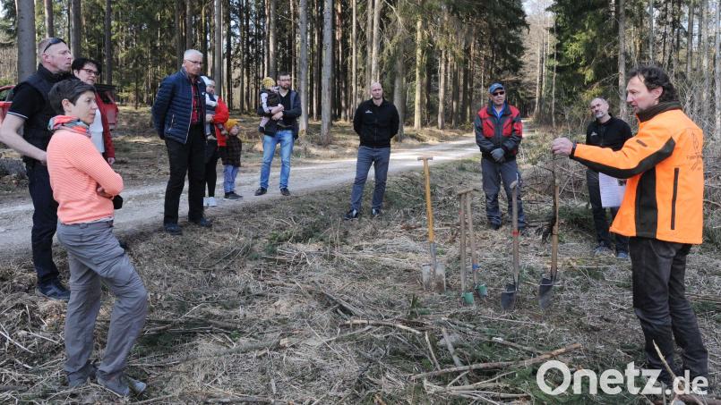 Martin Seits (rechts), der Leiter des Amberger Forstamtes, erklärte den Baumpaten, wie die Setzlinge einzupflanzen sind. Bild: gf