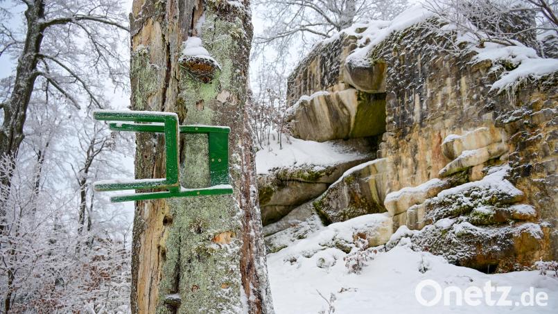 Irgendwie schaut der grüne Stuhl am Baumstumpf wirklich witzig aus. Und tatsächlich könnte auch ein kreativer Künstler am Werk gewesen sein. Die Revierförster dulden die Sache als einen Scherz, der keinen großen Schaden anrichtet oder anrichten kann. Bild: sds