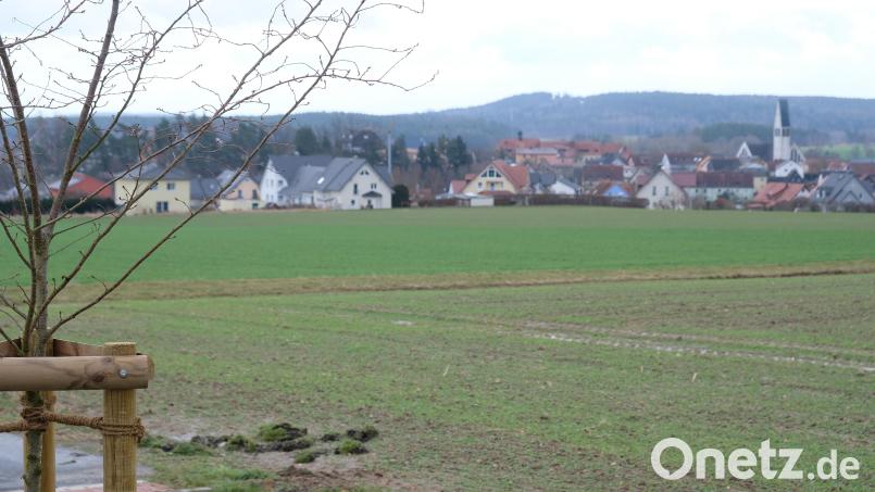 Im Bereich Sandbrunnen soll in Kirchenthumbach weiter gebaut werden. Archivbild: do