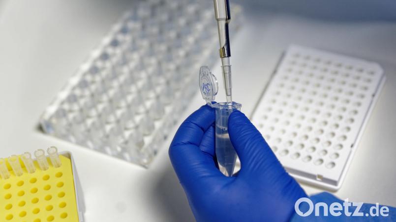 Eine Mitarbeiterin des Labors füllt mit einer Pipette, zur Vorbereitung von PCR-Tests, eine Testflüssigkeit ein. Symbolbild: Henning Kaiser/dpa
