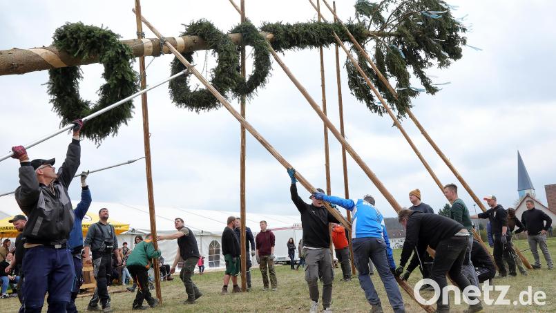 Mit Muskelkraft wurde am Samstag der Baum aufgestellt. Bild: Wolfgang Steinbacher