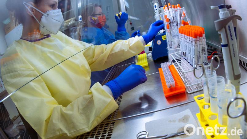 Eine medizintechnische Assistentin bereitet Abstrichproben aus Corona-Testzentren für die Untersuchung in den Automat in einem PCR-Labor vor: Innerhalb einer Woche gab es im Landkreis Tirschenreuth über 700 positive Coronatests. Symbolbild: Jens Büttner/dpa