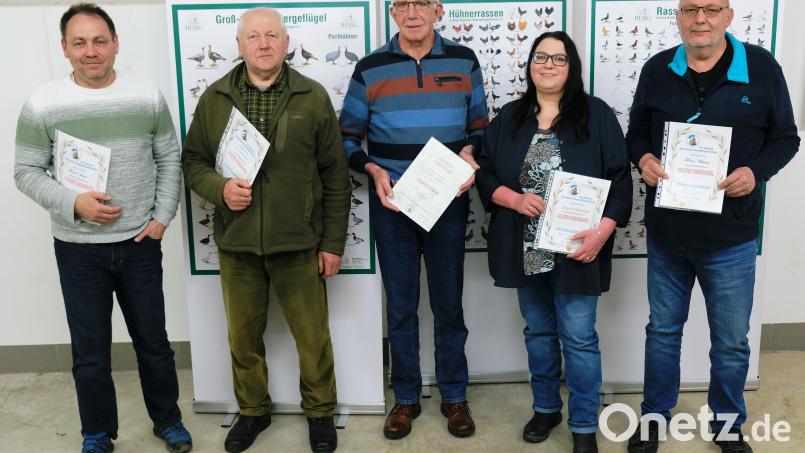 Eingerahmt von den Züchtern Harald Schmidt, Anton Fichtl, Birgit Plohmann und Thomas Schwarze (von links), die mit goldenen Ehrennadeln des Verbandes Bayerischer Rassegeflügelzüchter ausgezeichnet wurden, ernannte der Verein Rupert Lindner (Bildmitte) zum Ehrenmitglied. Bild: do
