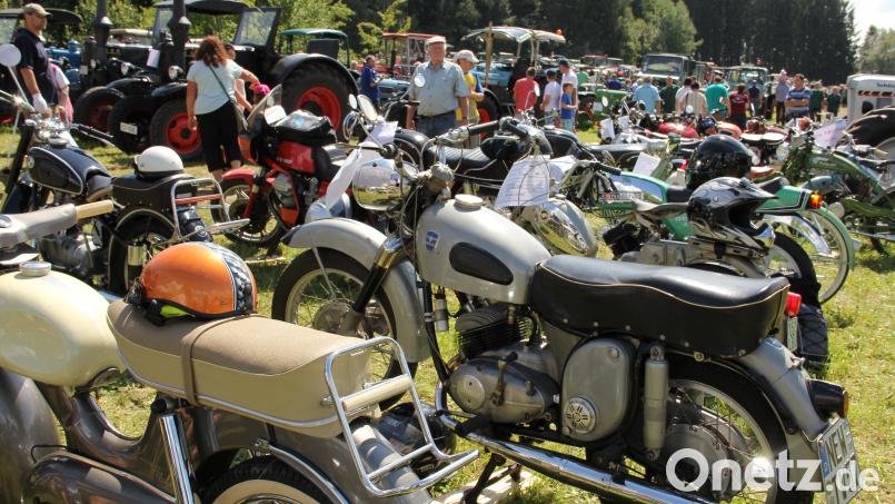 Oldtimer soweit das Auge reicht. 450 Fahrzeuge waren beim letzten Oldtimer-Treffen in Gartenried ausgestellt Bild: wel