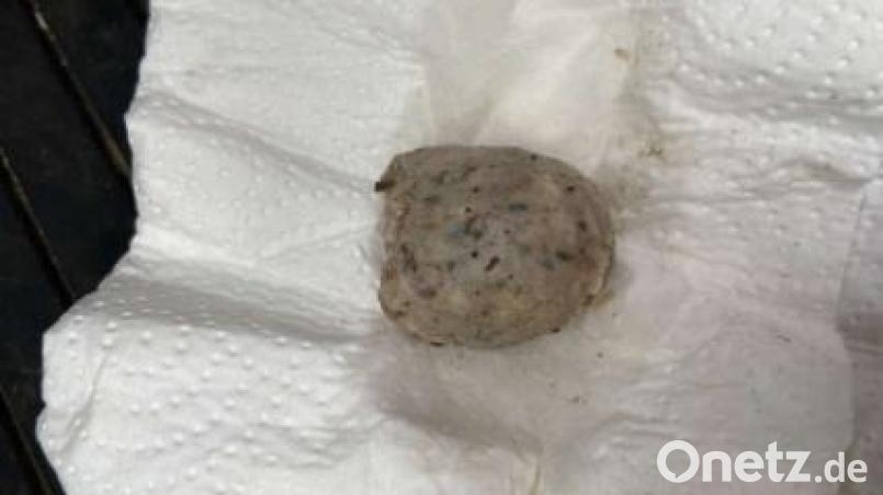 Ein Hund hat in Burgweinting einen Giftköder gefressen. Polizeibeamte entdeckten eine Wurst mit Gift. Bild: Feuerer, PI Regensburg Süd