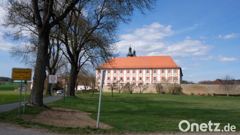 Zu einer beispielhaft blühenden Keimzelle des Klosterdorfes soll die zirka 5.000 Quadratmeter große Wiesenfläche vor den Klostermauern werden. Bild: do