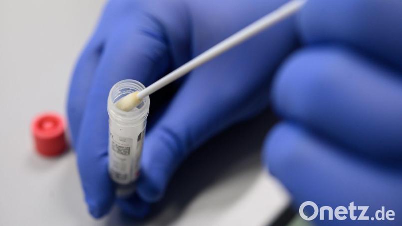 Ein Mann zeigt einen Abstrich für das Testverfahren auf das Virus Sars-CoV-2. Bild: Sebastian Gollnow/dpa/Symbolbild