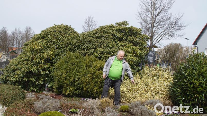 Die Pflege des Heldenhains im Friedhof ist Vorsitzenden Richard Scheiterer immer ein Anliegen. Bild: mmj