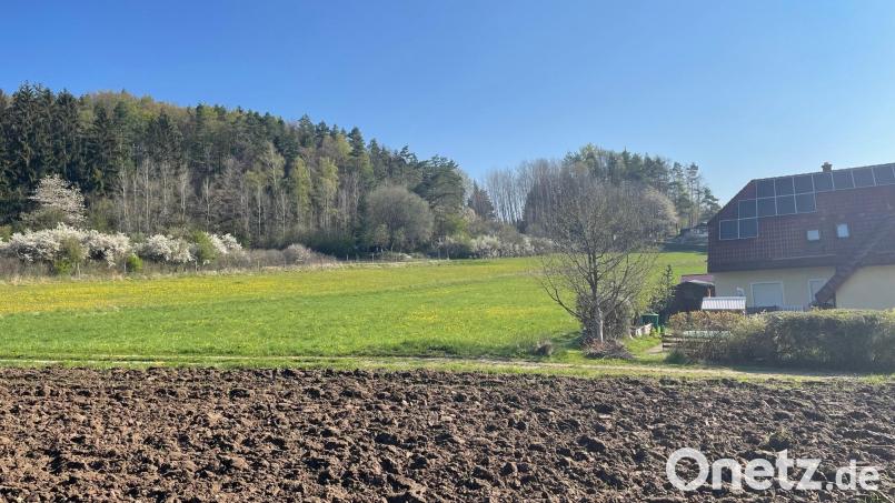 Anschließend an die jetzige Bebauung am Sonnenhang sehen die Pläne der Gemeinde Neukirchen das neue Wohngebiet Weißenstein II vor. Bild: ige