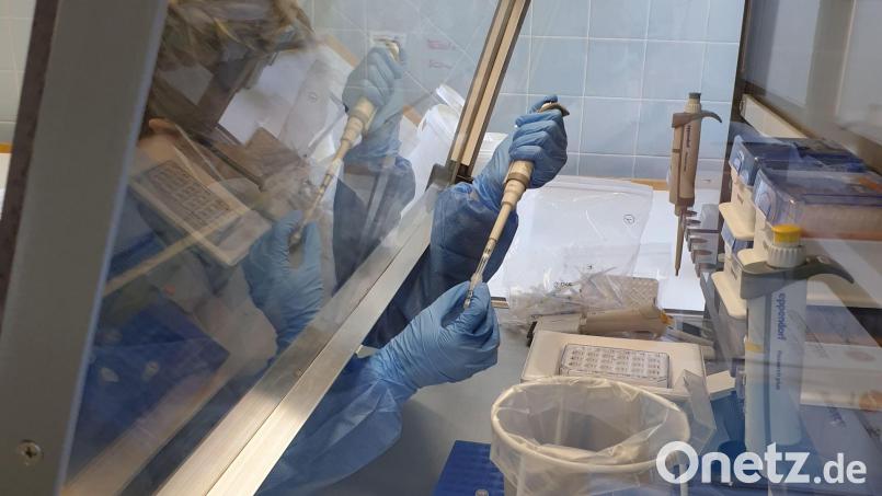 Das Waldsassener Labor von Bio-Variance analysiert die PCR-Tests aus den Testzentren im Landkreis Tirschenreuth. Archivbild: Bio-Variance/exb