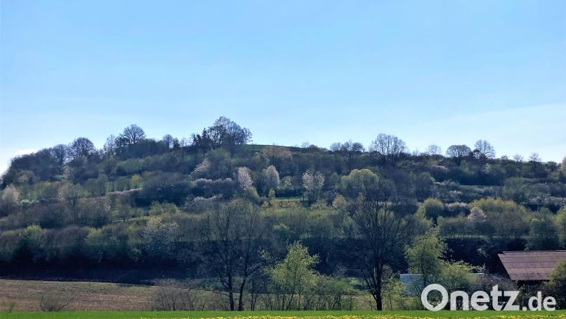 Für die Hecken am Kastler Berg gibt es nun ein individuelles Pflegekonzept. Bild: stg