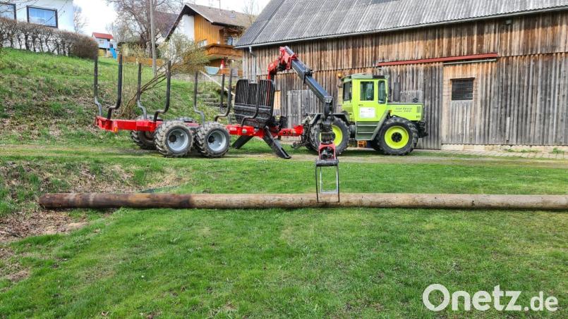 Mit schwerem Gerät brachten die &quot;Maibaumklauer&quot; den alten Mast wieder zurück nach Grünlas. Bild: soj