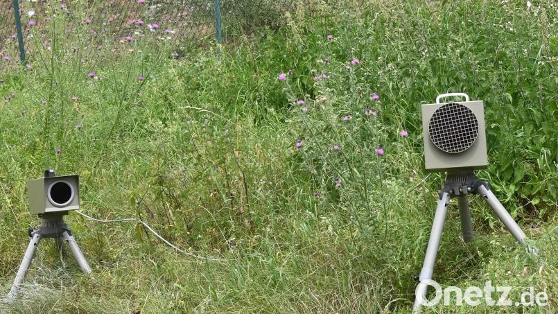 Entlang der Autobahn A6 hielt die Verkehrspolizei Amberg Ausschau nach Temposündern. Symbolbild: gf