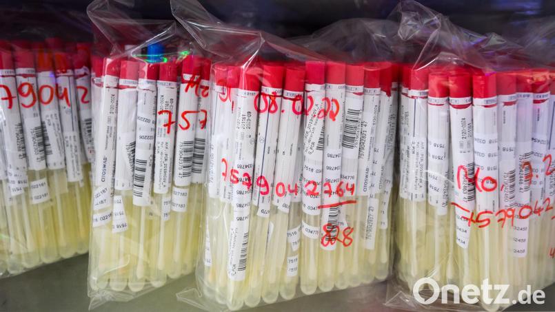 PCR-Tests von Patienten liegen in einem Labor im Kühlschrank. Bild: Julian Stratenschulte