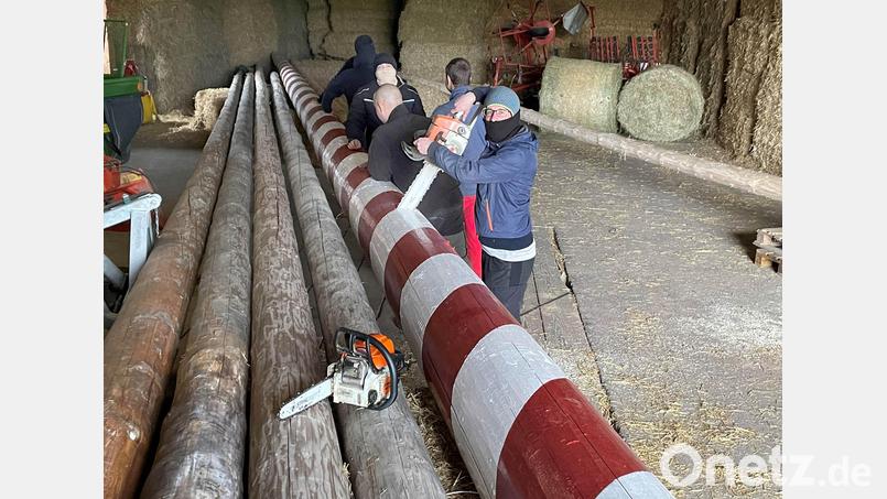 In einem Schuppen bei Marktredwitz: die erfolgreichen Maibaum-Klauer, die anonym bleiben wollen, mit acht Beutestücken aus der ganzen Umgebung. Bild: fphs