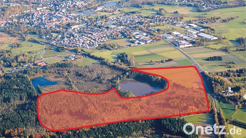 Auf einem 35 Hektar großen Areal rund um den Engelmannsteich südlich von Tirschenreuth (rot eingefärbt, Linien grob skizziert) will die Ziegler-Group ein neues Betriebsgelände für Fertighäuser errichten. Das Moor (blaue Fläche am linken oberen Rand des beplanten Areals) und der vor 100 Jahren künstlich angelegte Teich (Bildmitte) werden ausgespart. Luftbild: mür/Bearbeitung: Oberpfalz-Medien