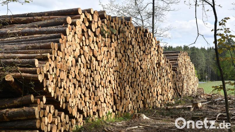 Holzstämme liegen im Auerbacher Bürgerwald zum Abtransport bereit. Archivbild: Petra Hartl