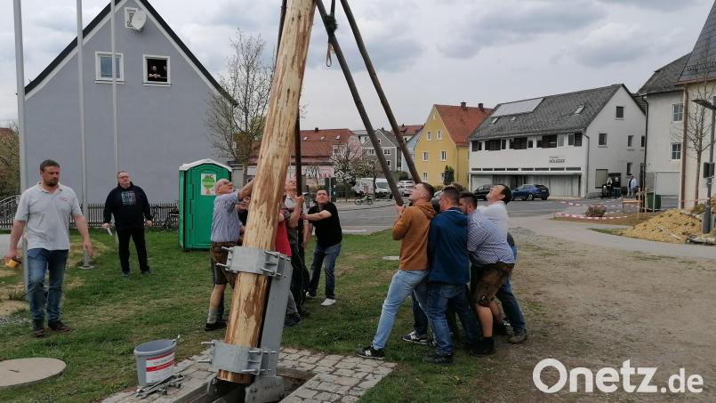 Gemeinderat Wolfgang Bauer (Zweiter von links) hatte das Kommando bei Anheben des Maibaumes mit den Schwalben. Bild: den