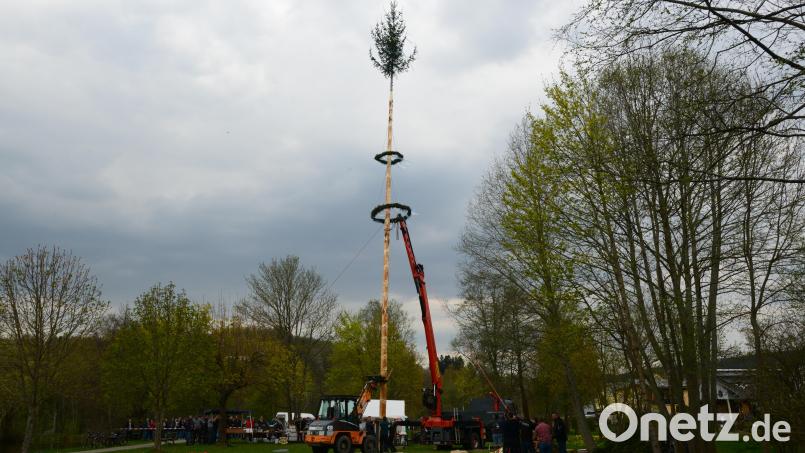 Die Katholische Landjugend stellte einen zweiten Maibaum. Bild: bey
