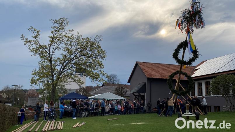 25 Mann stemmen den Maibaum in Letzau in die Höhe. Bild: Kathrin Forster /exb