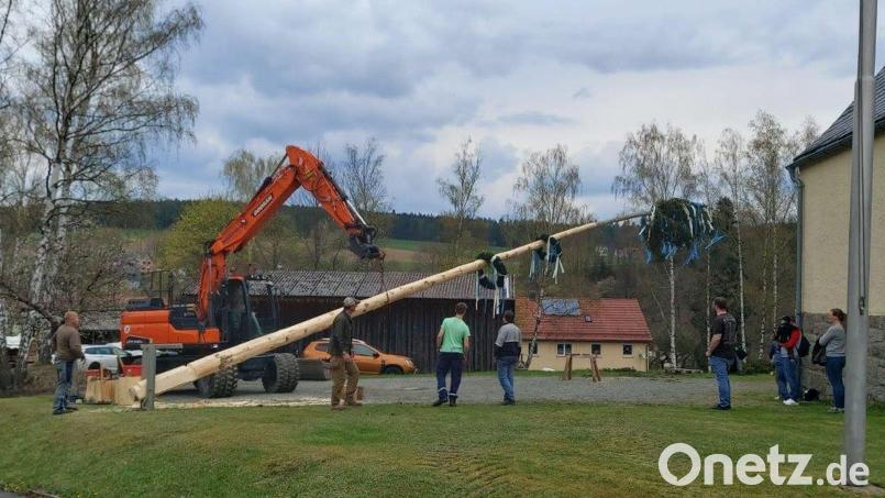 Auch in Trevesen wurde mit Hilfe eines Baggers ein stattlicher Maibaum am Haus der Vereine in die Höhe gehievt. Bild: twg