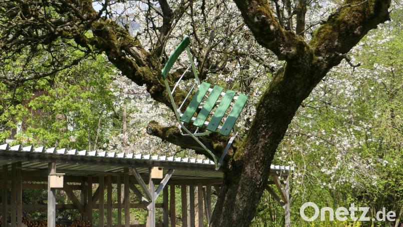 Einen grünen Stuhl hoben Walperer in Obersdorf in einem Apfelbaum. Bild: ils