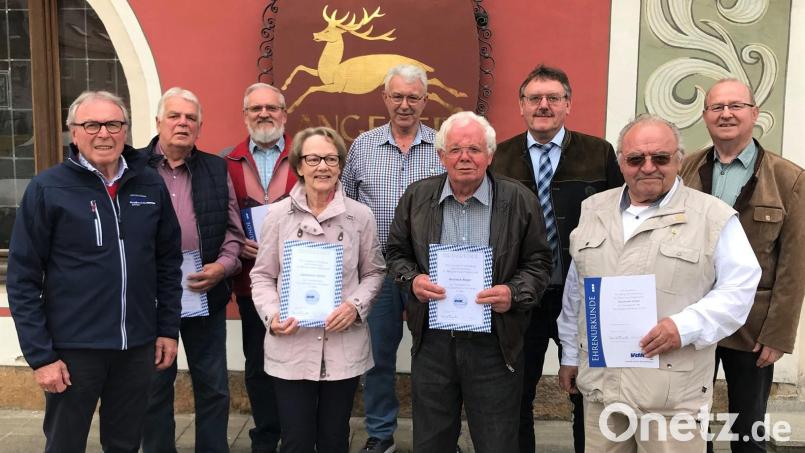 Der VdK-Ortsverband Vilseck zeichnet langjährige Mitglieder für ihre Treue aus (von links): Vorsitzender Ernst Andraschko, Manfred Lang, Georg Pickelmann, Hannelore Zeitler, Georg Pröls (alle für 20 Jahre); Heinrich Reger (50 Jahre), Bürgermeister Hans-Martin Schertl, Reinhard Meier (20 Jahre) und stellvertretender Kreisvorsitzender Johann Ludwig. Bild: rha