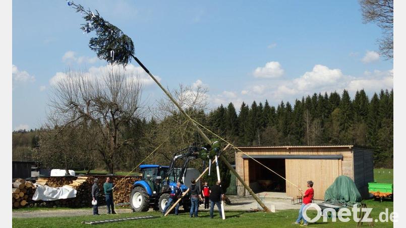In dem kleinen Dorf Dreihäuser, mit circa 30 Einwohnern, in der Gemeinde Pullenreuth, steht seit 1989 erstmals wieder ein Maibaum. Bild: twg