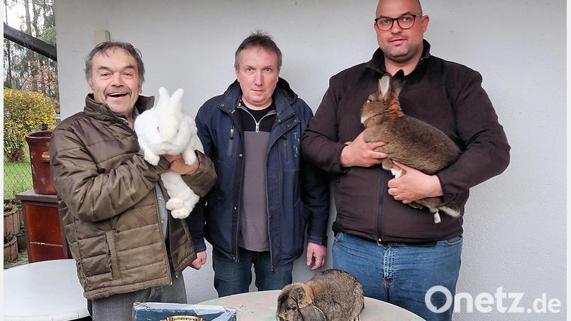 Wolfgang Brunhofer, Martin Gruber und Florian Schmidt (von links) gehören zu den besten Kaninchenzüchtern der Oberpfalz. Sie holten mit ihren gezüchteten Rassen drei Bezirksmeistertitel nach Krummennaab. Bild: bsc