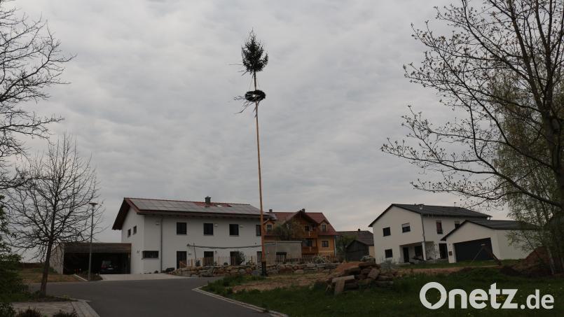 Maibaum Senkendorf. Bild: rpp