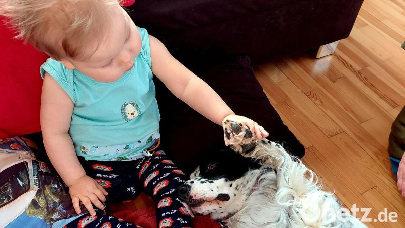 Therapiehund Annie spielt mit dem kleinen Leon. Der Bub ist drei Jahre alt. Bild: Klinikum/Borchers/exb