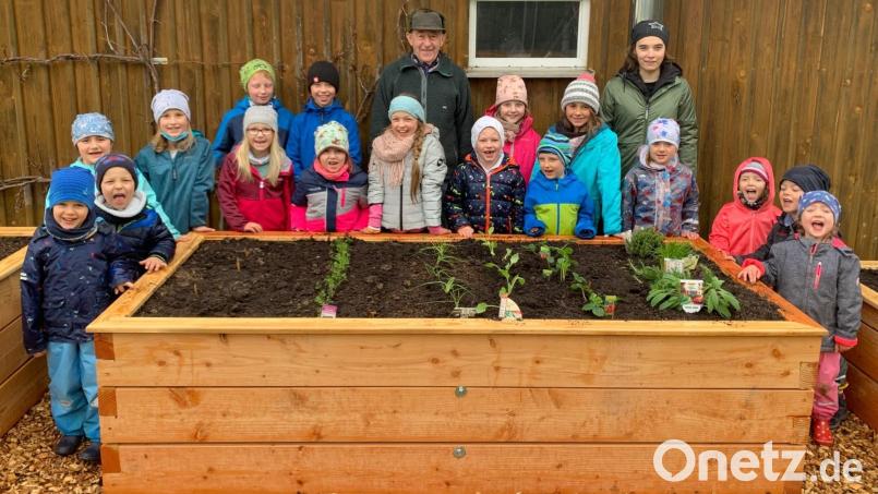 Der Ehrenvorsitzende des Obst- und Gartenbauvereins, Willi König (hinten, Mitte) hat für die Flötztaler Naturentdecker vier Hochbeete gezimmert. Bild: mez